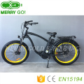 En15194 Approved Tektro Disc Brake Electric Bike